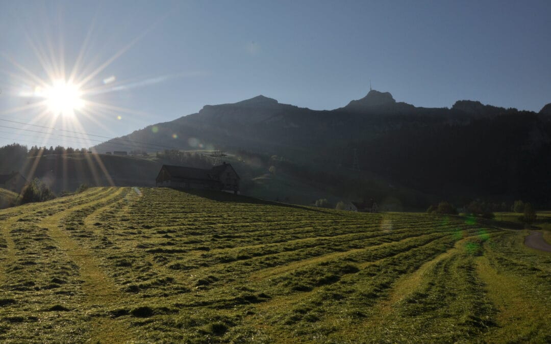 juni 2018  antara hike, feet and core