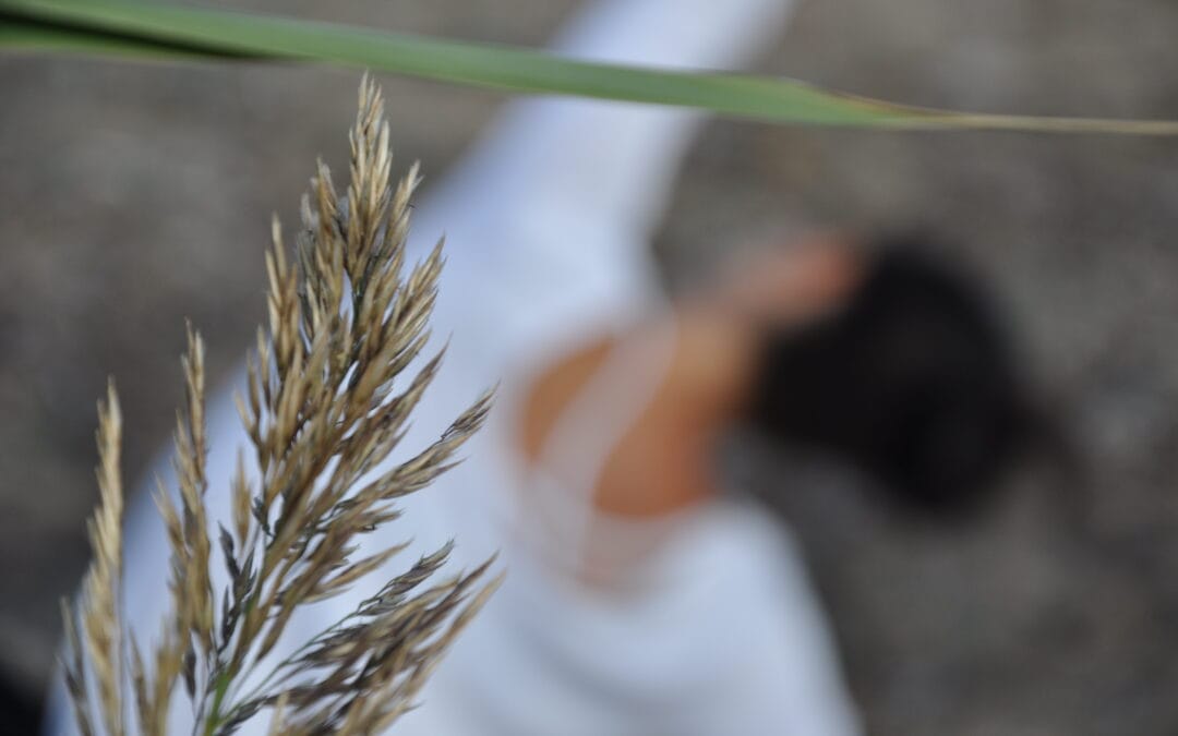 18. august 2025  neuer kurs „antara federflow – rückbildung“