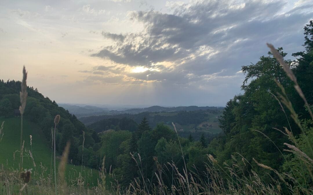 juni 2023  federflow wanderung mit anschliessendem essen