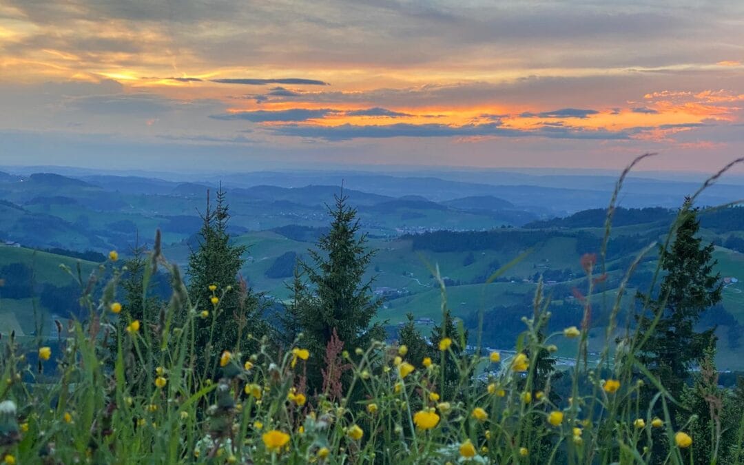 juni 2024  federflow wanderung zur scheidegg